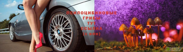 герыч Вязьма