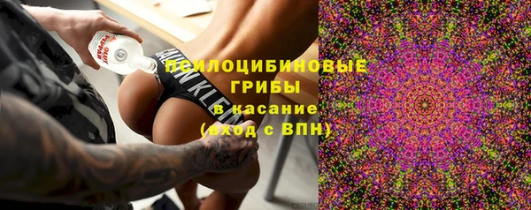 спайс Вяземский
