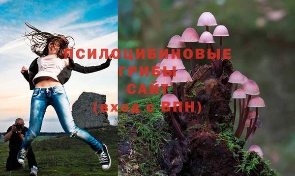 спайс Вяземский