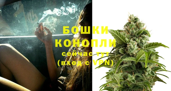 спайс Вяземский