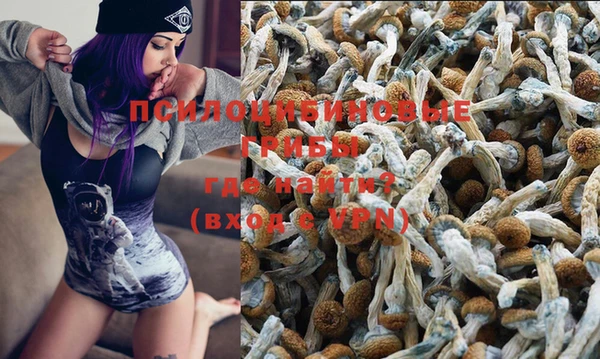 герыч Вязьма
