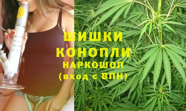 спайс Вяземский