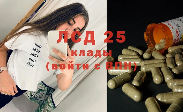 спайс Вяземский