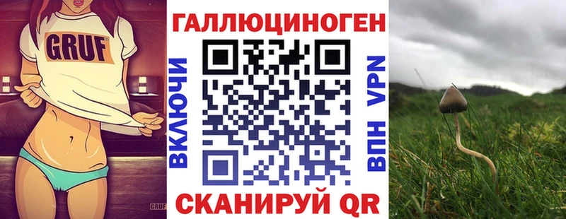Галлюциногенные грибы ЛСД  сколько стоит  Щёлково 