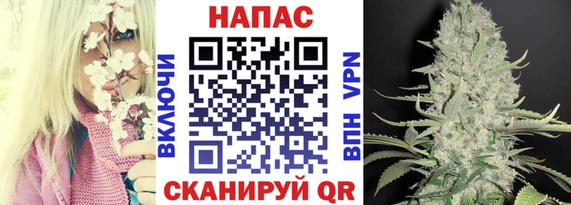 сколько стоит  даркнет Telegram  Бошки Шишки конопля  Щёлково 